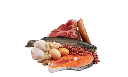 Fish & Meat