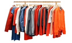 Fashion & Clothing