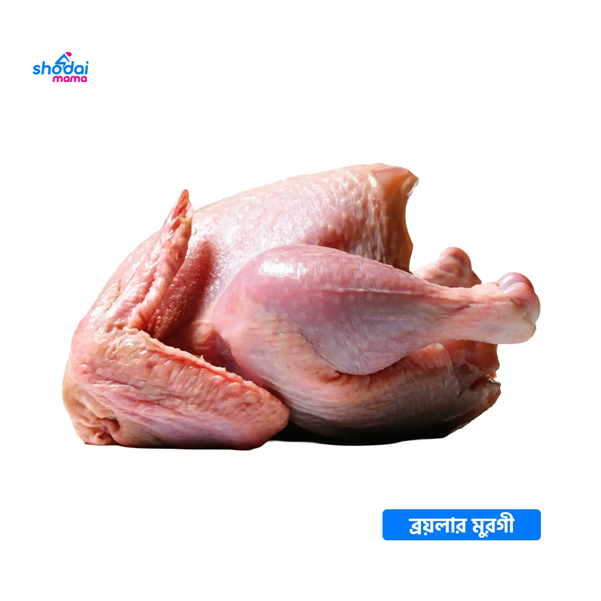 Poultry Chicken Per 1 KG Processed