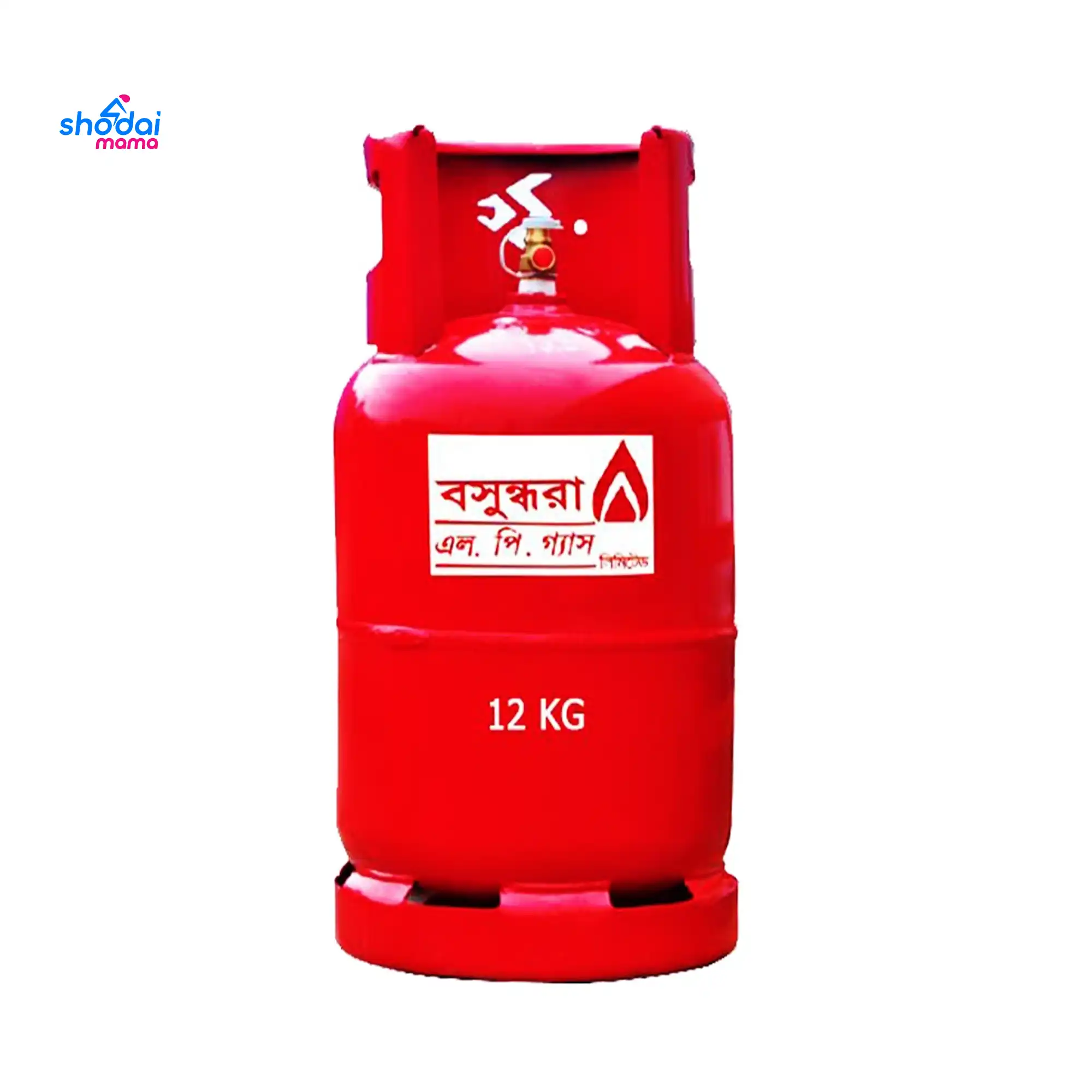 Bashundhara 12 KG LPG Gas